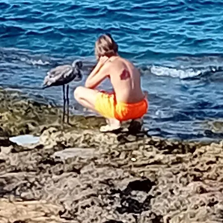 La Caletta Di Afrodite Appartamento