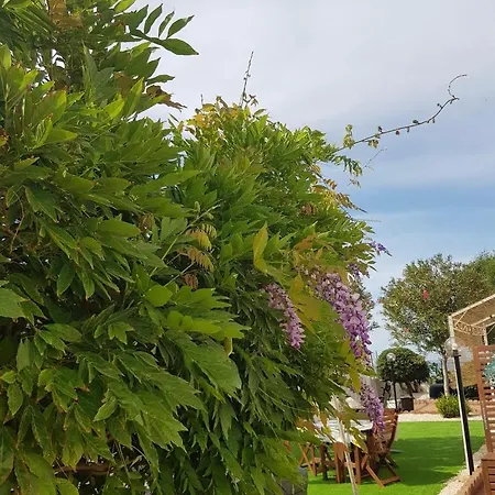 La Caletta Di Afrodite Calabernardo